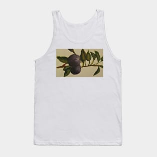 Grapes on a vine Tank Top